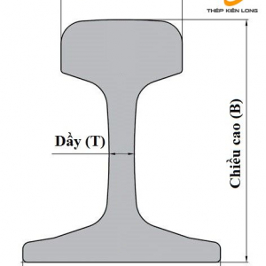 THÉP RAY P11